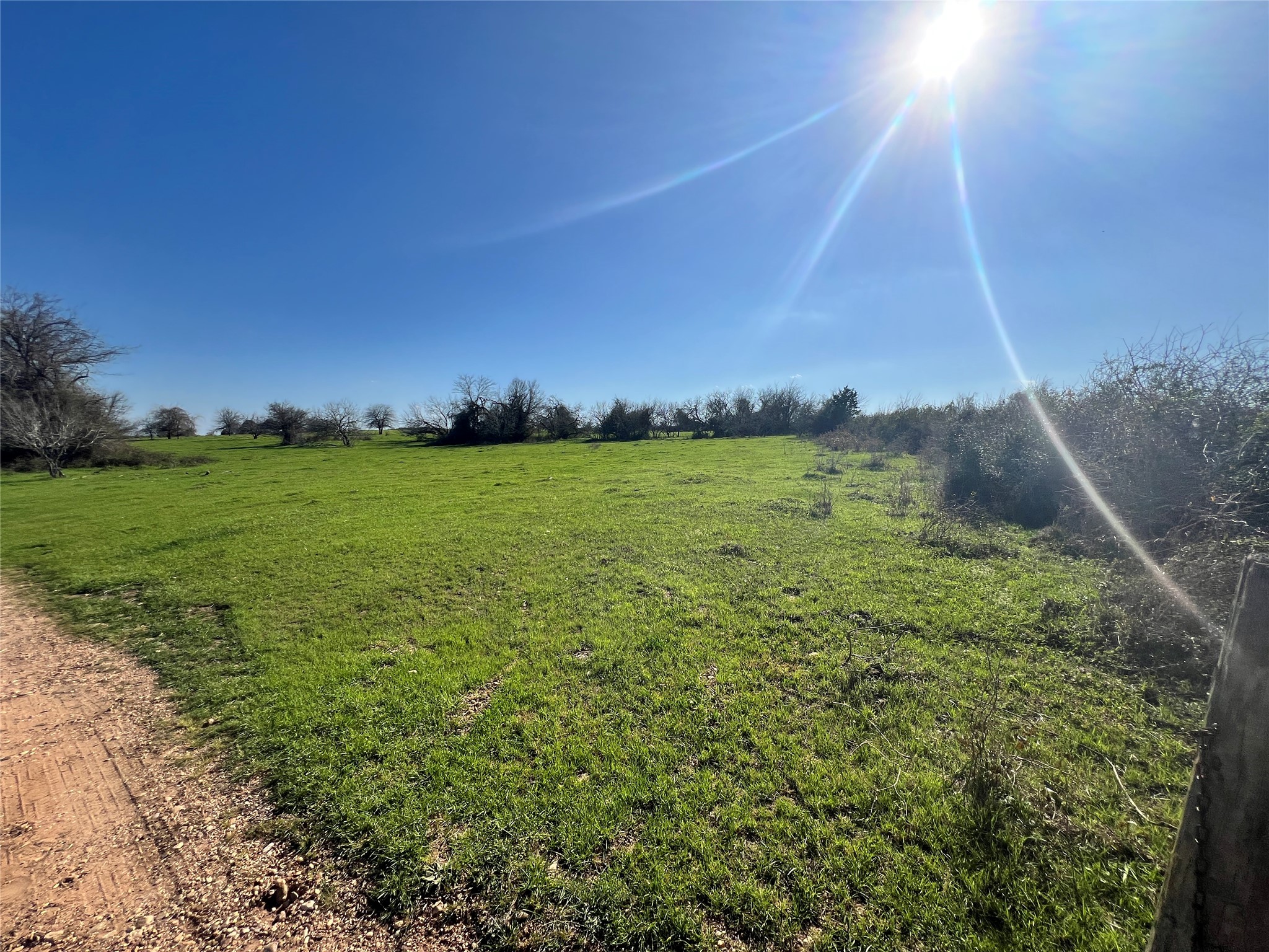 001 Blezinger Road, New Ulm, TX, 78950 | 54501275 | Realty Texas LLC