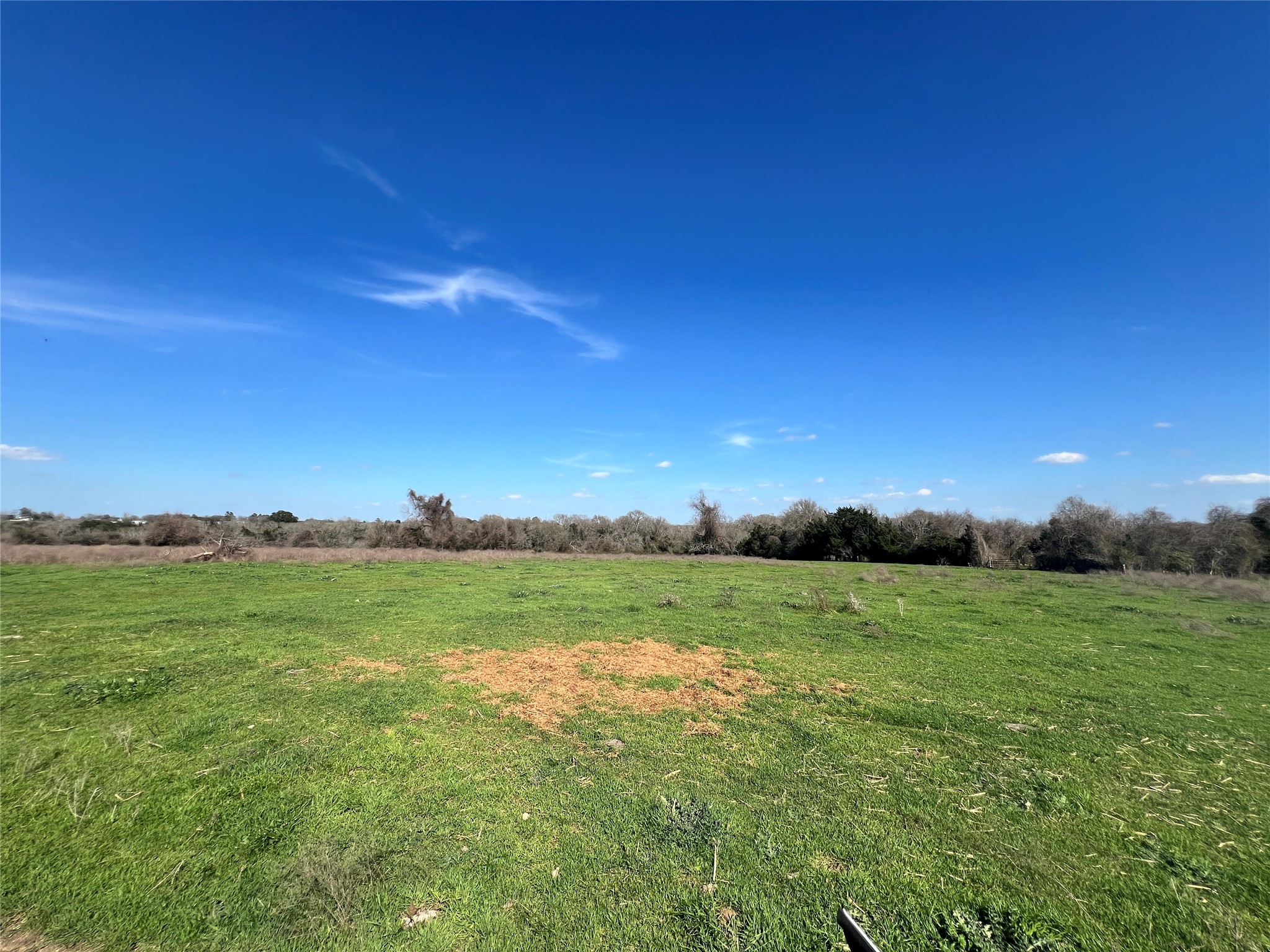 001 Blezinger Road, New Ulm, TX, 78950 | 54501275 | Realty Texas LLC