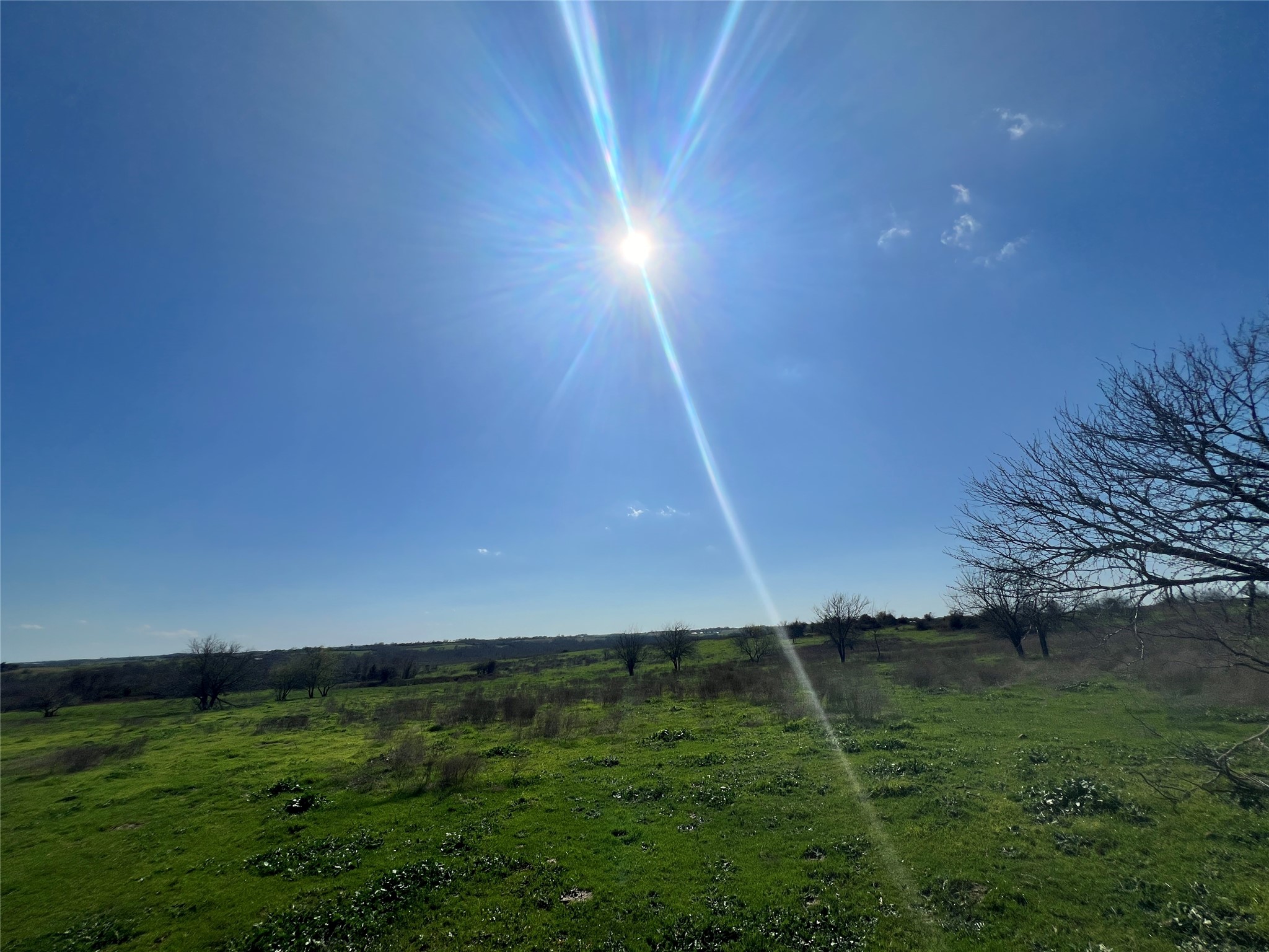 001 Blezinger Road, New Ulm, TX, 78950 | 54501275 | Realty Texas LLC