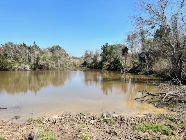 001 Blezinger Road, New Ulm, TX, 78950 | 54501275 | Realty Texas LLC
