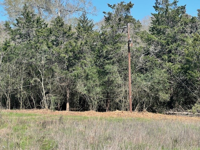 001 Blezinger Road, New Ulm, TX, 78950 | 54501275 | Realty Texas LLC