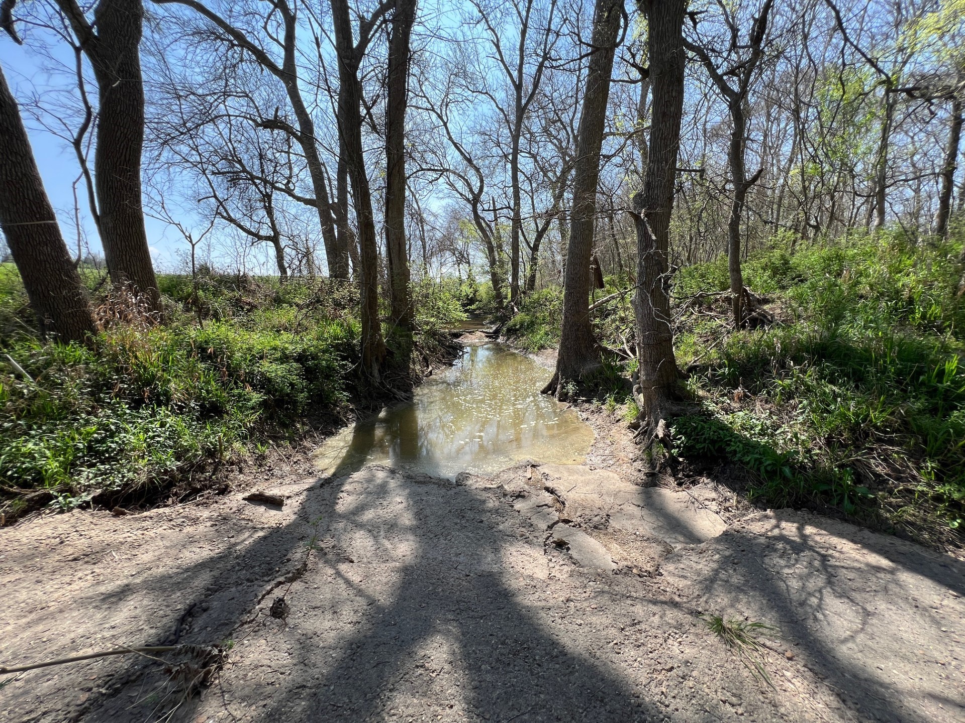 001 Blezinger Road, New Ulm, TX, 78950 | 54501275 | Realty Texas LLC