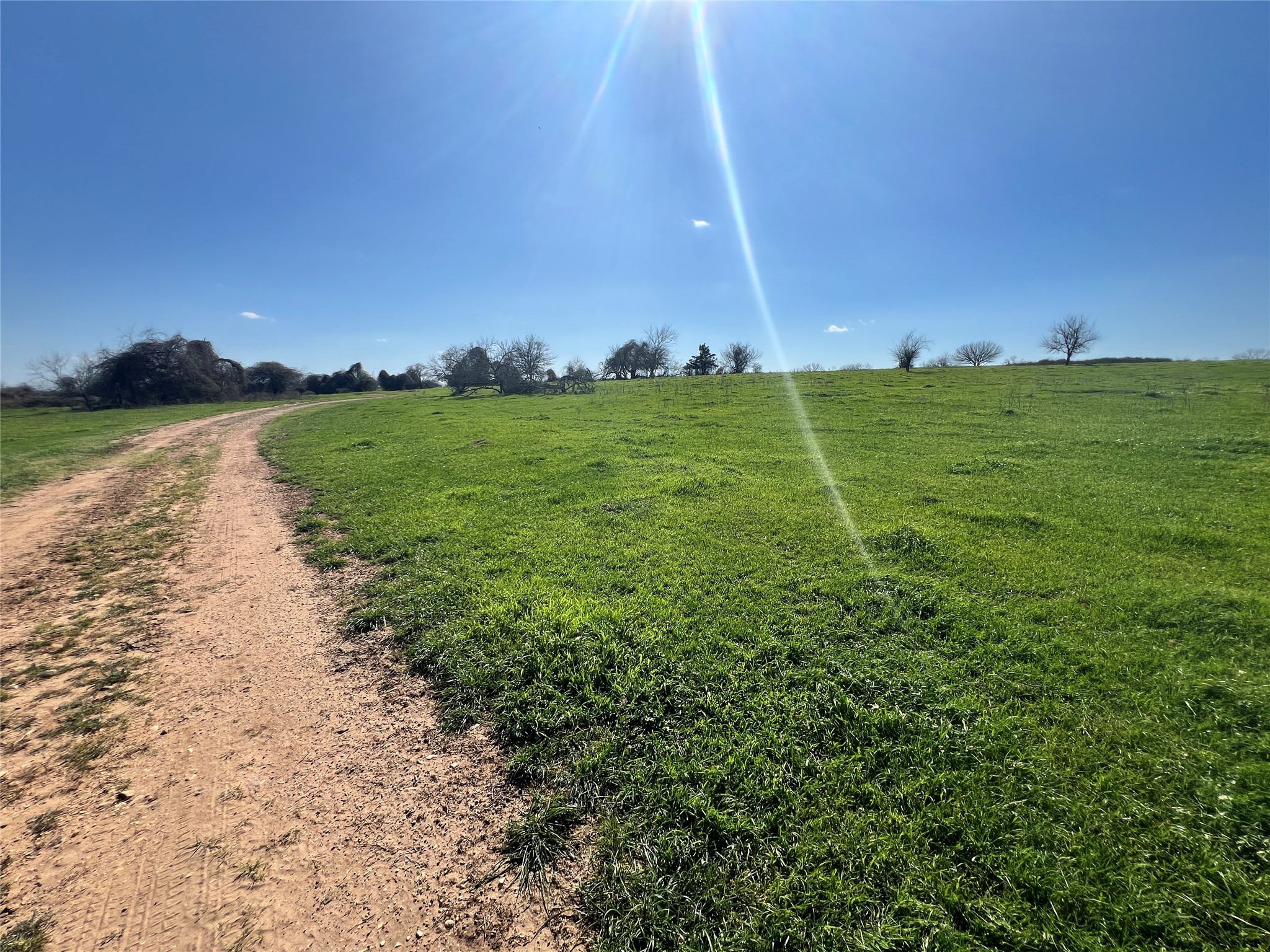 001 Blezinger Road, New Ulm, TX, 78950 | 54501275 | Realty Texas LLC