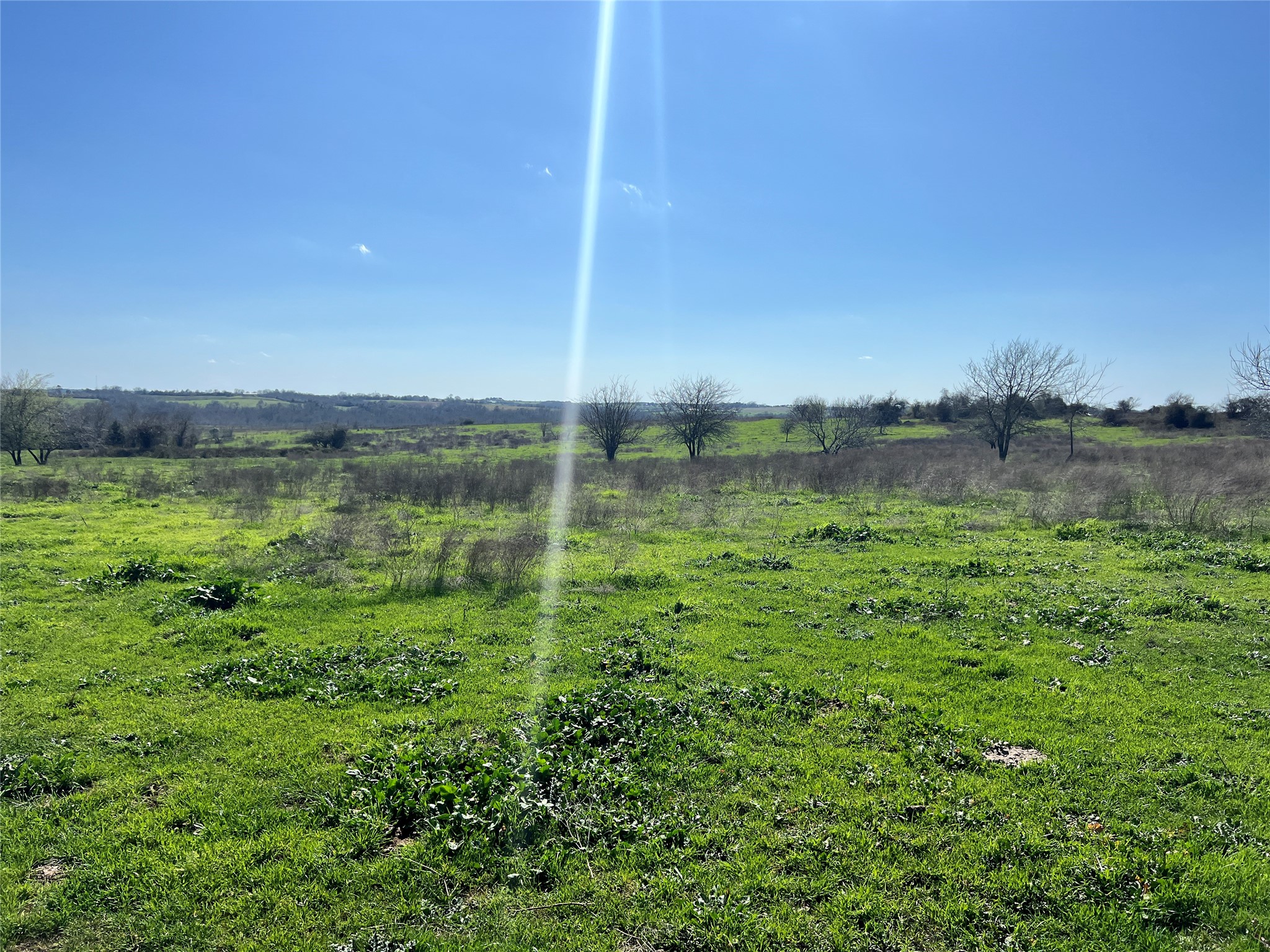 001 Blezinger Road, New Ulm, TX, 78950 | 54501275 | Realty Texas LLC
