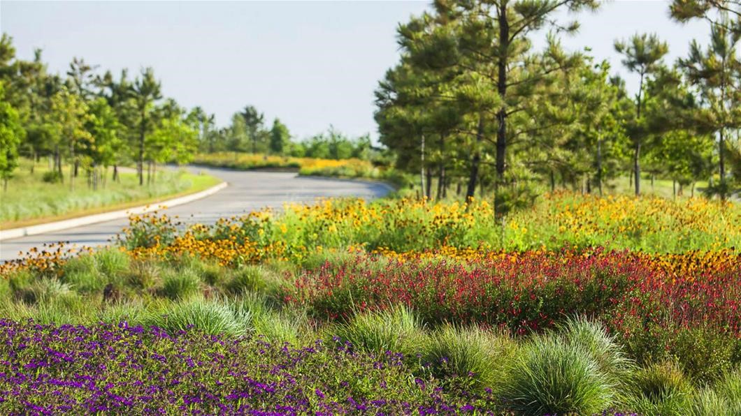 29823 Longleaf Grove Lane , Fulshear, TX, 77441 | 33802842 | Realty Texas LLC