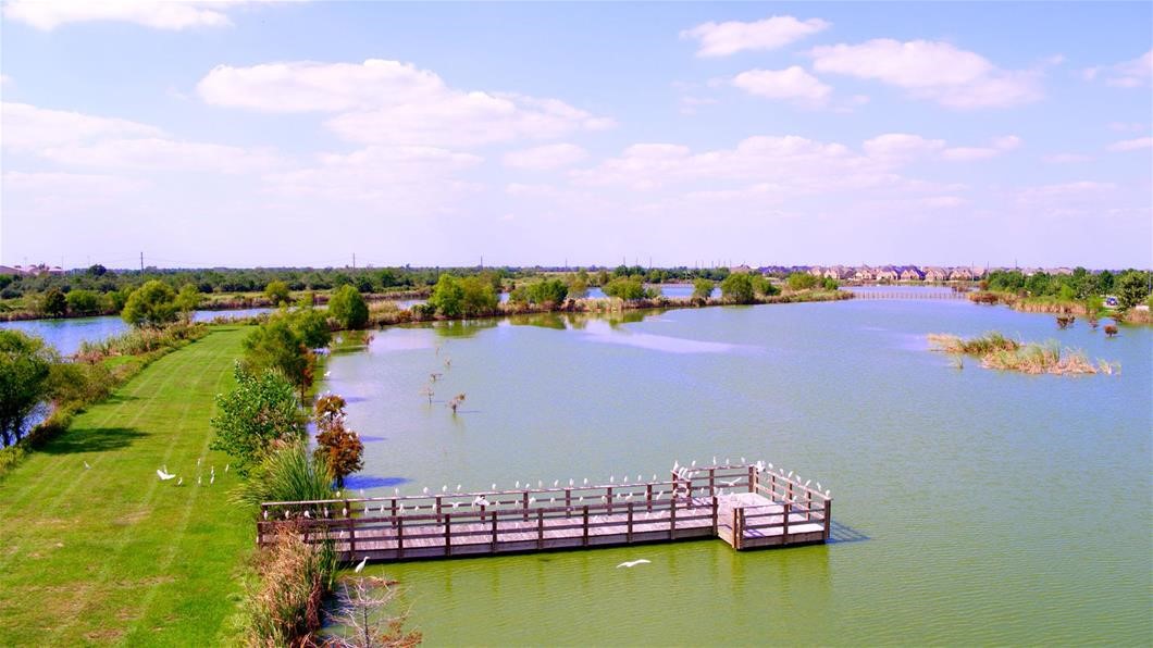29823 Longleaf Grove Lane , Fulshear, TX, 77441 | 33802842 | Realty Texas LLC