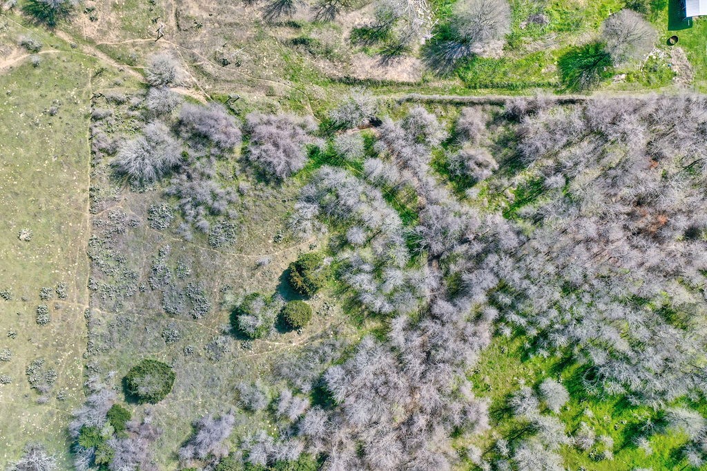 TBD Shiloh Road, Bastrop, TX, 78602 | 1987462 | Realty Texas LLC