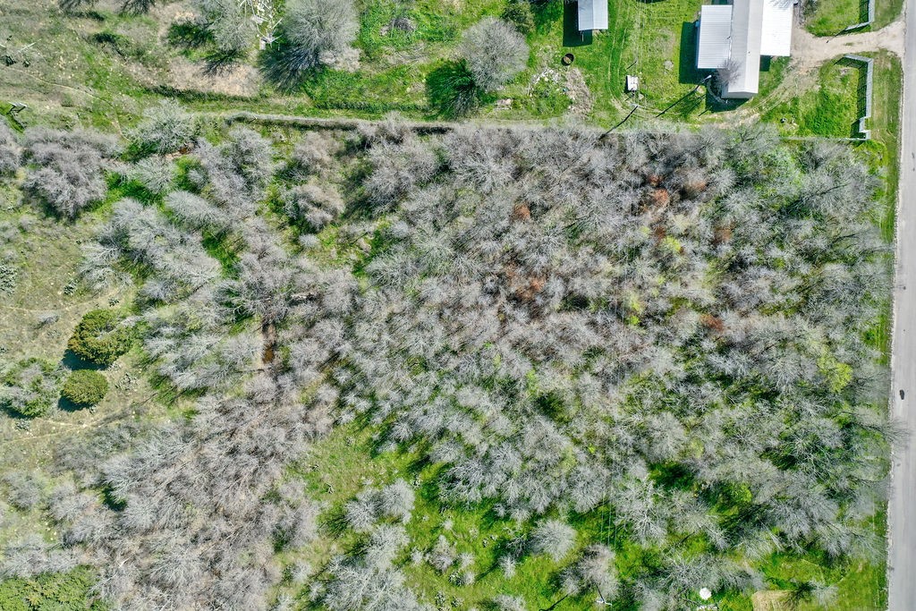 TBD Shiloh Road, Bastrop, TX, 78602 | 1987462 | Realty Texas LLC