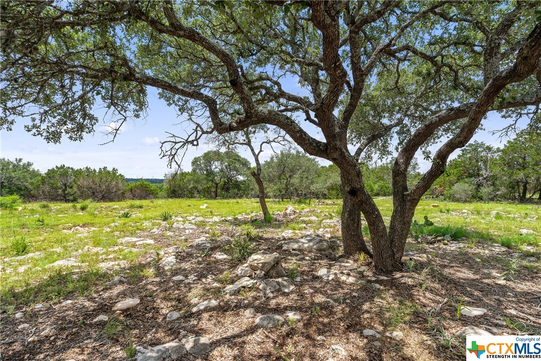 889 Brock Hollow Drive , Johnson City, TX, 78636 | 536269 | Realty Texas LLC