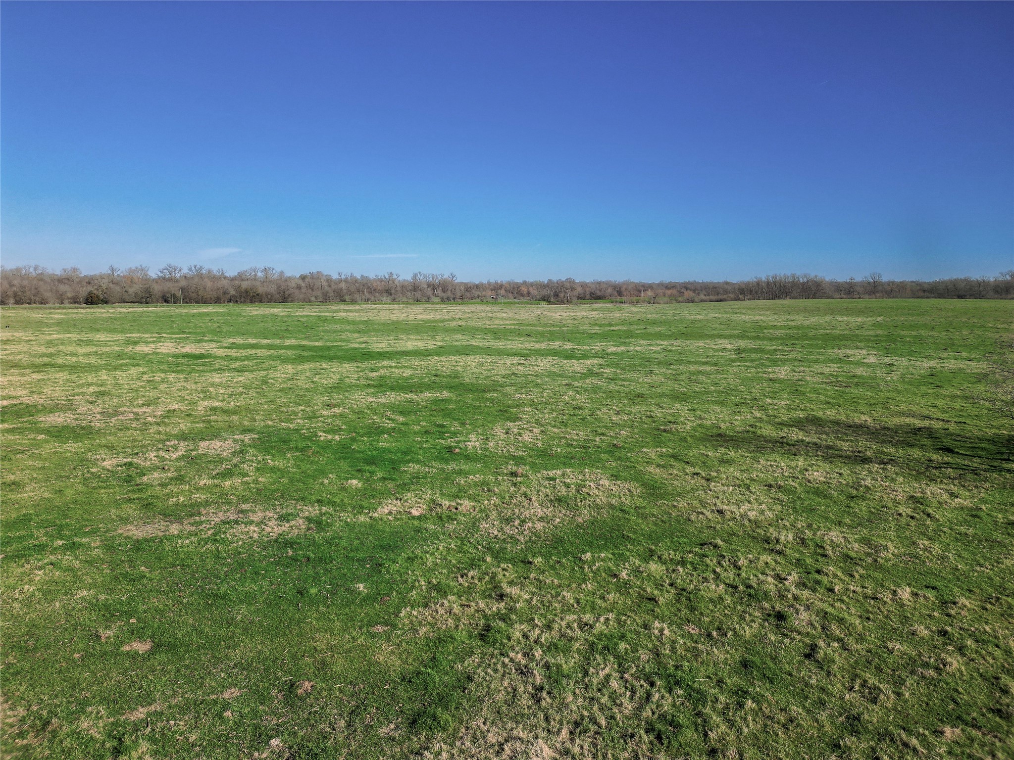000 Highway 79 , Hearne, TX, 77859 | 18795265 | Realty Texas LLC