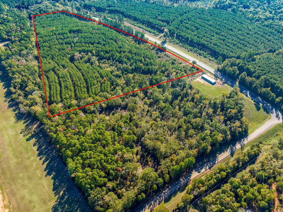 0 HWY 155 , Avinger, TX, 75630 | 77186286 | Realty Texas LLC