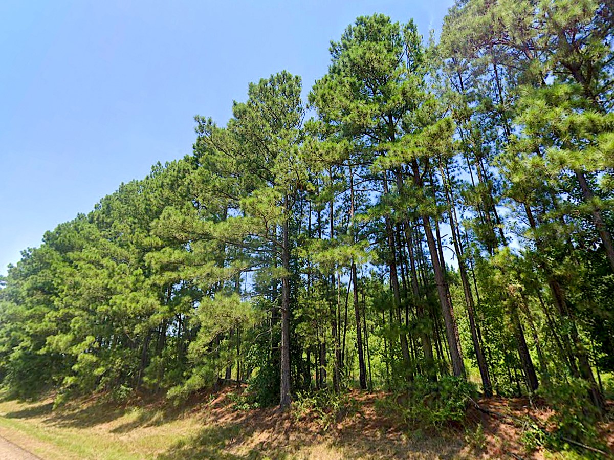 0 HWY 155 , Avinger, TX, 75630 | 77186286 | Realty Texas LLC