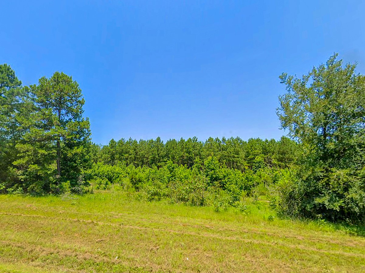 0 HWY 155 , Avinger, TX, 75630 | 77186286 | Realty Texas LLC