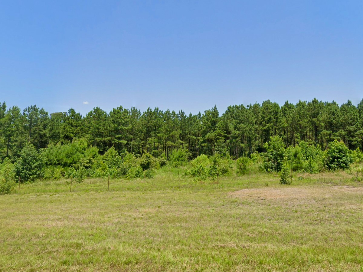 0 HWY 155 , Avinger, TX, 75630 | 77186286 | Realty Texas LLC