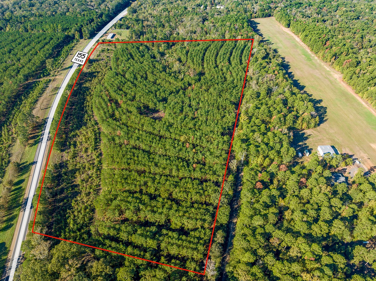 0 HWY 155 , Avinger, TX, 75630 | 77186286 | Realty Texas LLC