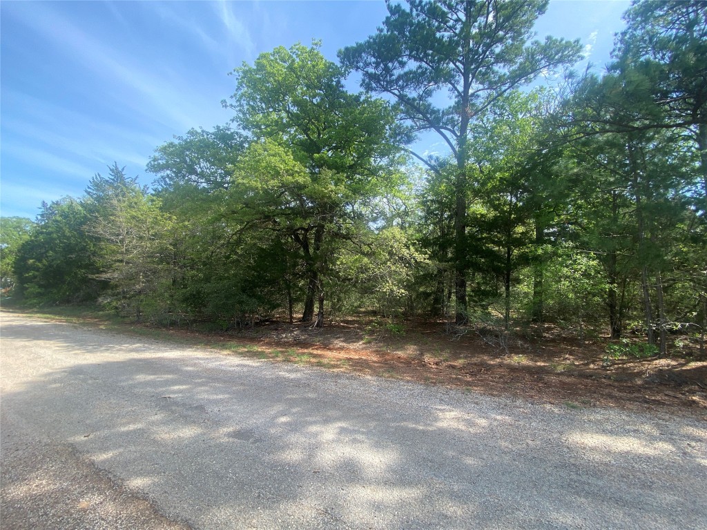 237/238 Cheyenne Drive , Smithville, TX, 78957 | 4869247 | Realty Texas LLC