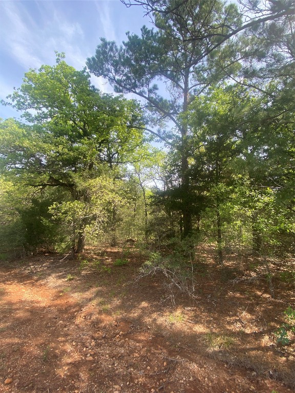237/238 Cheyenne Drive , Smithville, TX, 78957 | 4869247 | Realty Texas LLC