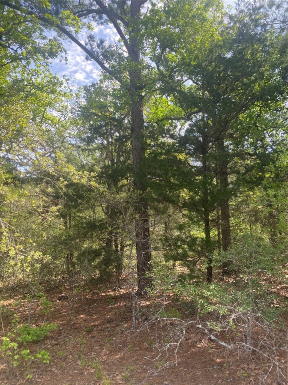 237/238 Cheyenne Drive , Smithville, TX, 78957 | 4869247 | Realty Texas LLC