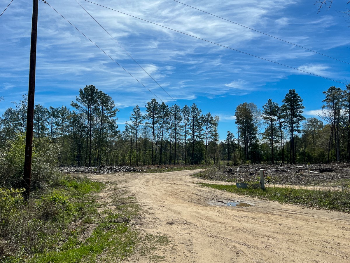 1 County Road 443 , Kirbyville, TX, 75956 | 20566628 | Realty Texas LLC