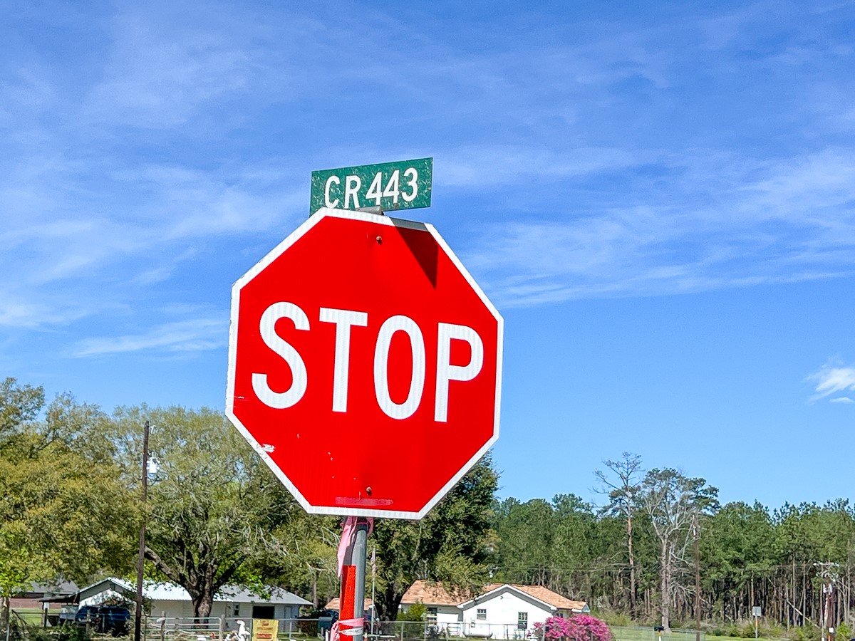 1 County Road 443 , Kirbyville, TX, 75956 | 20566628 | Realty Texas LLC