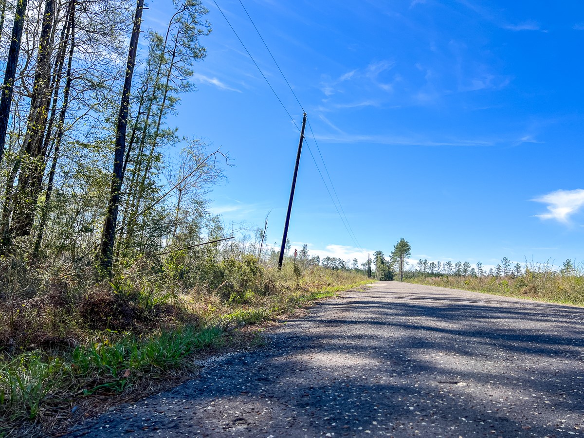 1 County Road 443 , Kirbyville, TX, 75956 | 20566628 | Realty Texas LLC