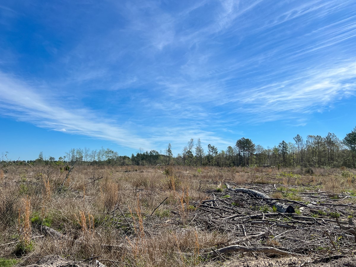1 County Road 443 , Kirbyville, TX, 75956 | 20566628 | Realty Texas LLC