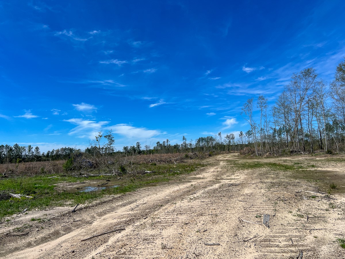 1 County Road 443 , Kirbyville, TX, 75956 | 20566628 | Realty Texas LLC