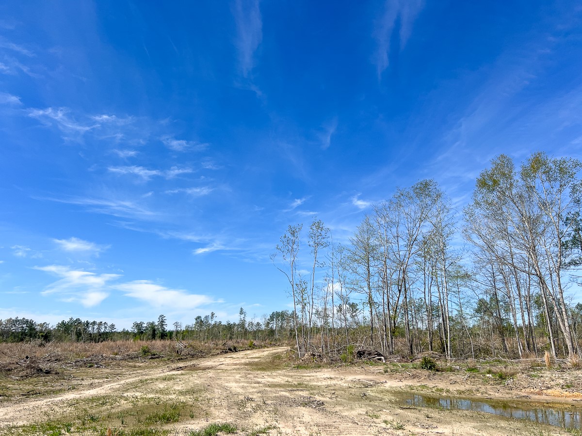 1 County Road 443 , Kirbyville, TX, 75956 | 20566628 | Realty Texas LLC