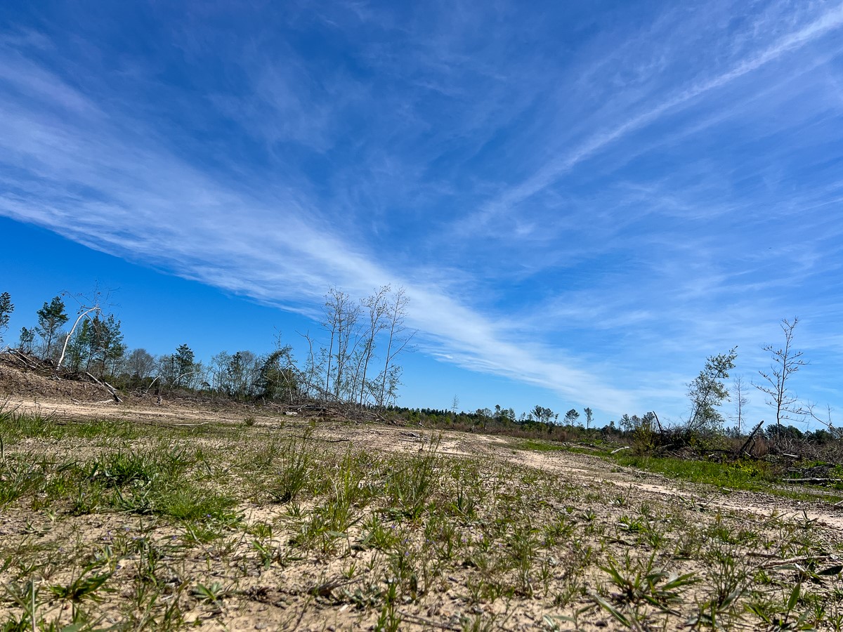 1 County Road 443 , Kirbyville, TX, 75956 | 20566628 | Realty Texas LLC