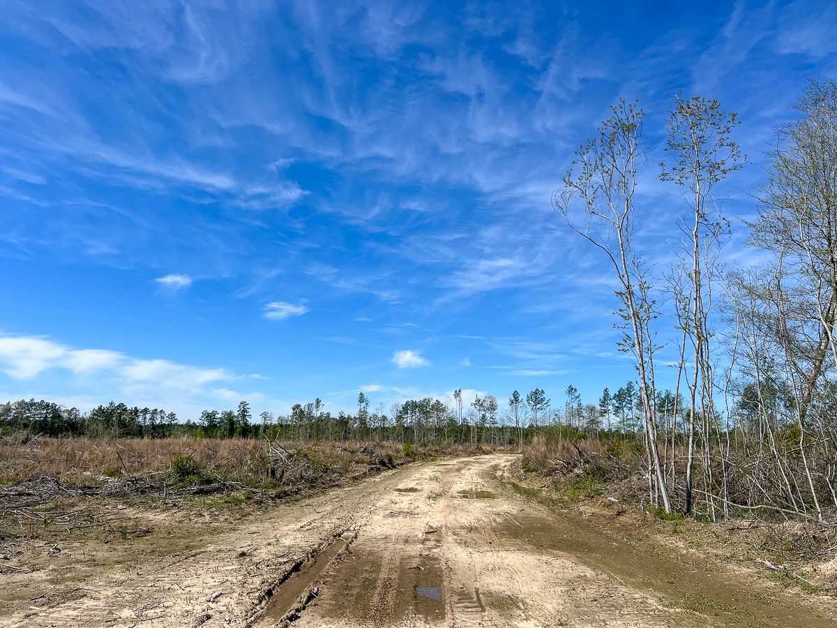 1 County Road 443 , Kirbyville, TX, 75956 | 20566628 | Realty Texas LLC