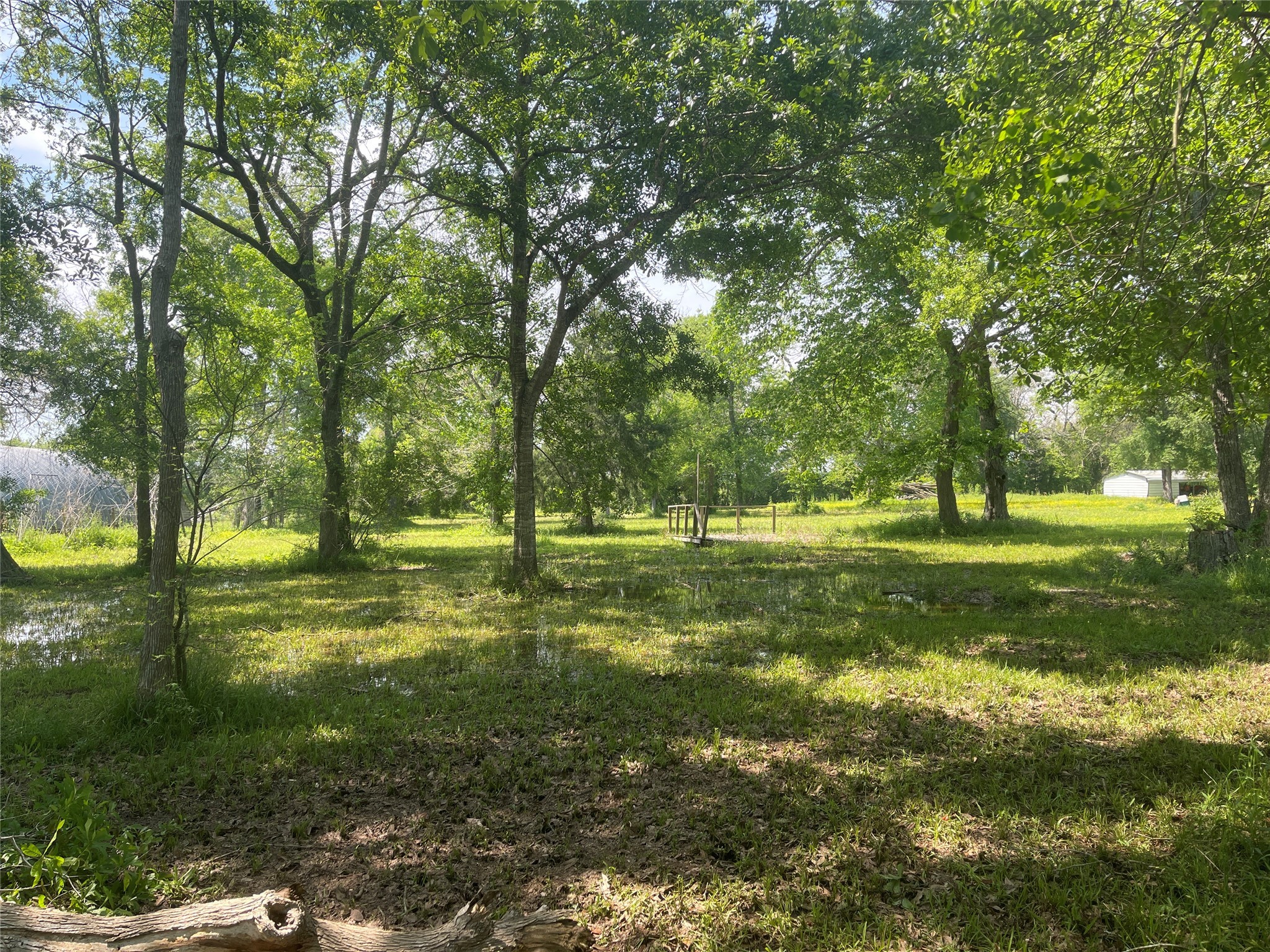 00 Patricia, CR 377 Lane , Alvin, TX, 77511 | 15267153 | Realty Texas LLC