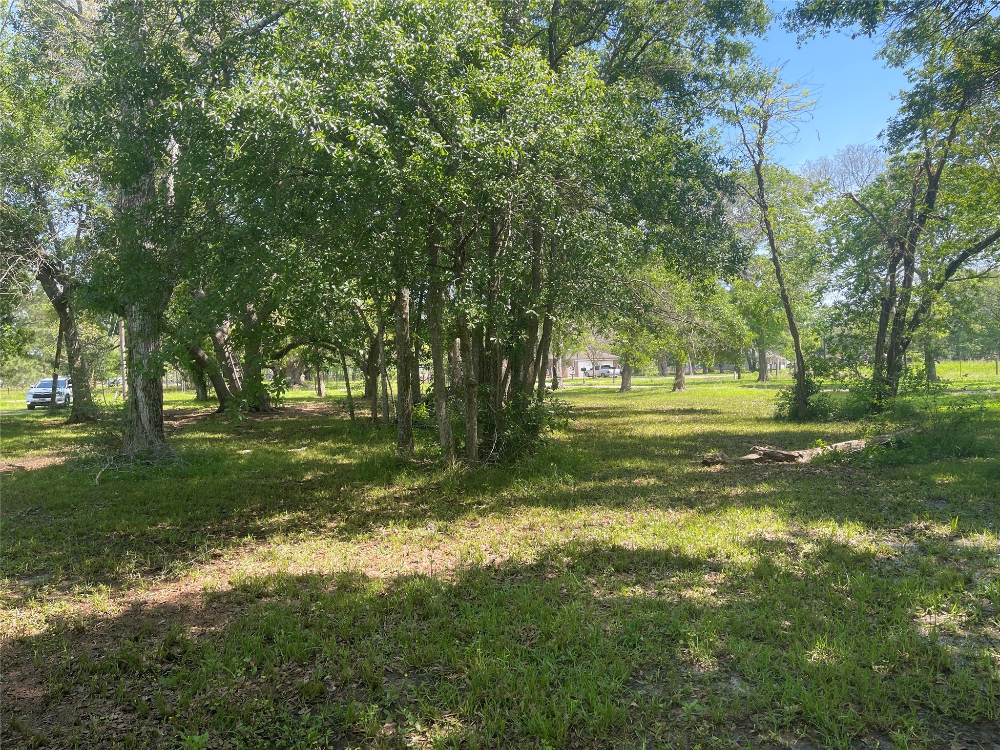 00 Patricia, CR 377 Lane , Alvin, TX, 77511 | 15267153 | Realty Texas LLC