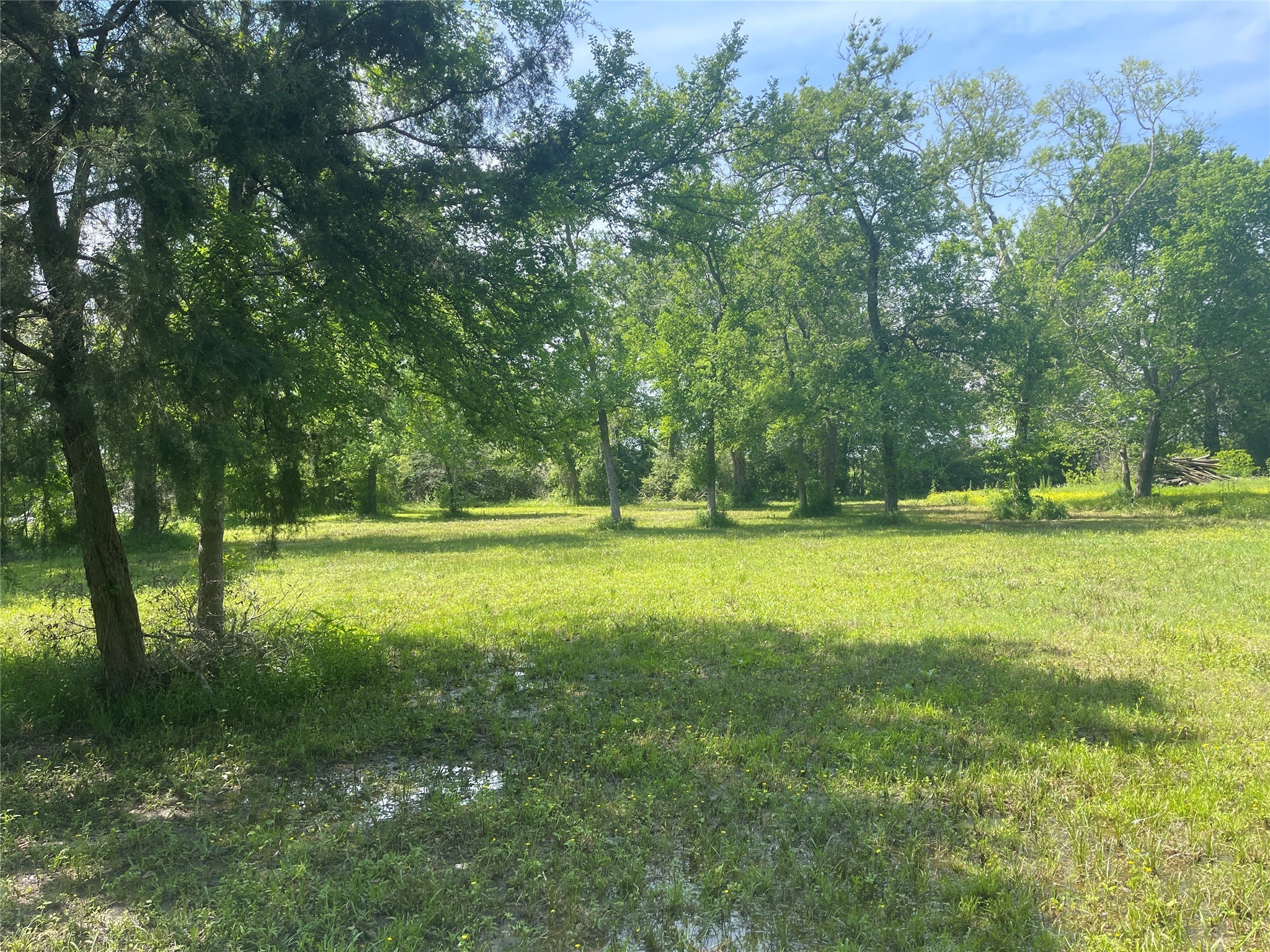 00 Patricia, CR 377 Lane , Alvin, TX, 77511 | 15267153 | Realty Texas LLC