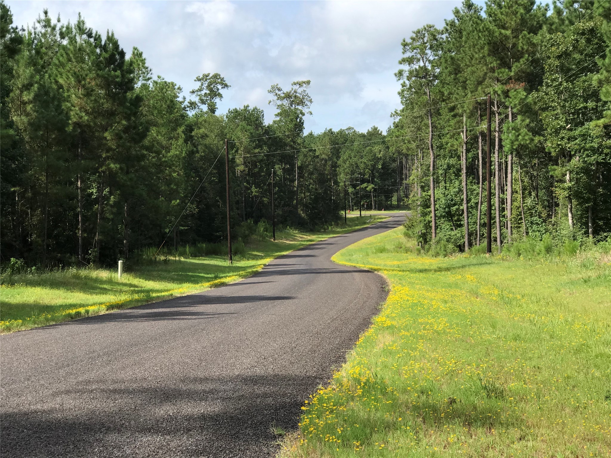 12-28-19 Fluorite Court , Huntsville, TX, 77340 | 85246121 | Realty Texas LLC