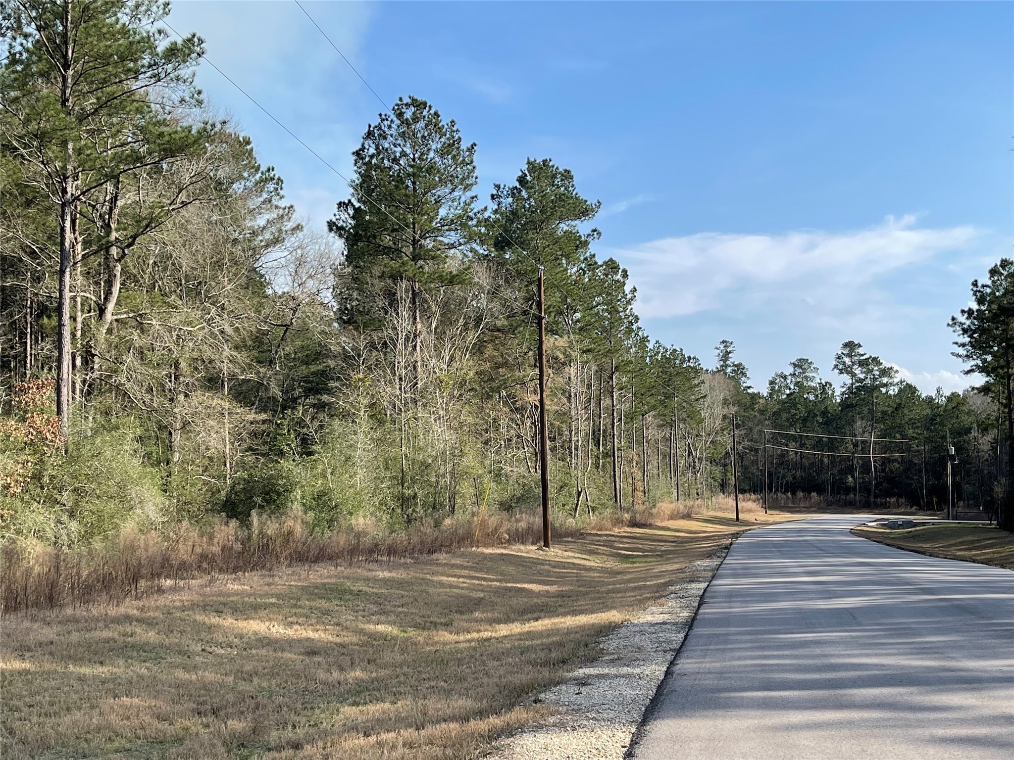12-28-19 Fluorite Court , Huntsville, TX, 77340 | 85246121 | Realty Texas LLC