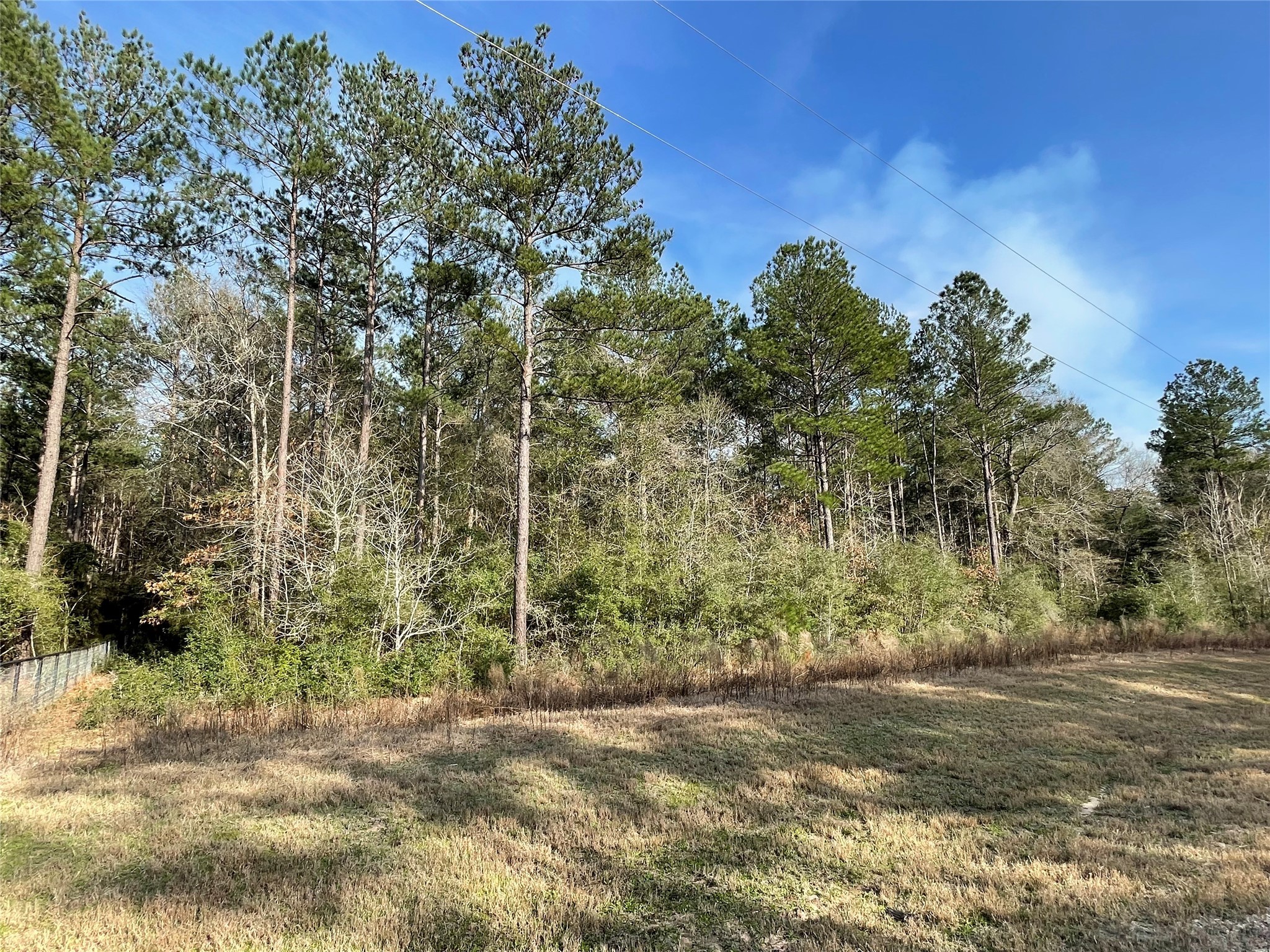 12-28-19 Fluorite Court , Huntsville, TX, 77340 | 85246121 | Realty Texas LLC