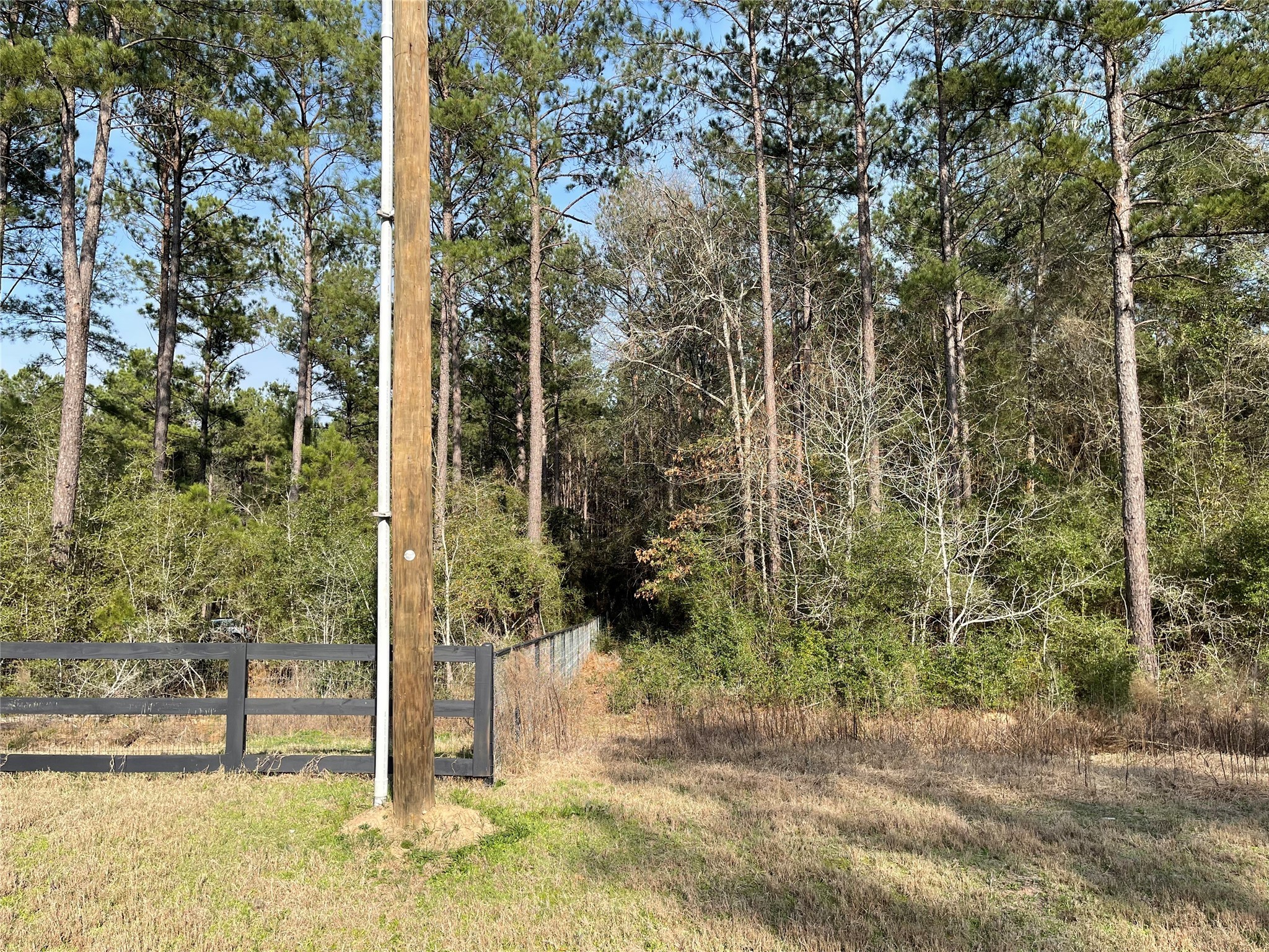 12-28-19 Fluorite Court , Huntsville, TX, 77340 | 85246121 | Realty Texas LLC