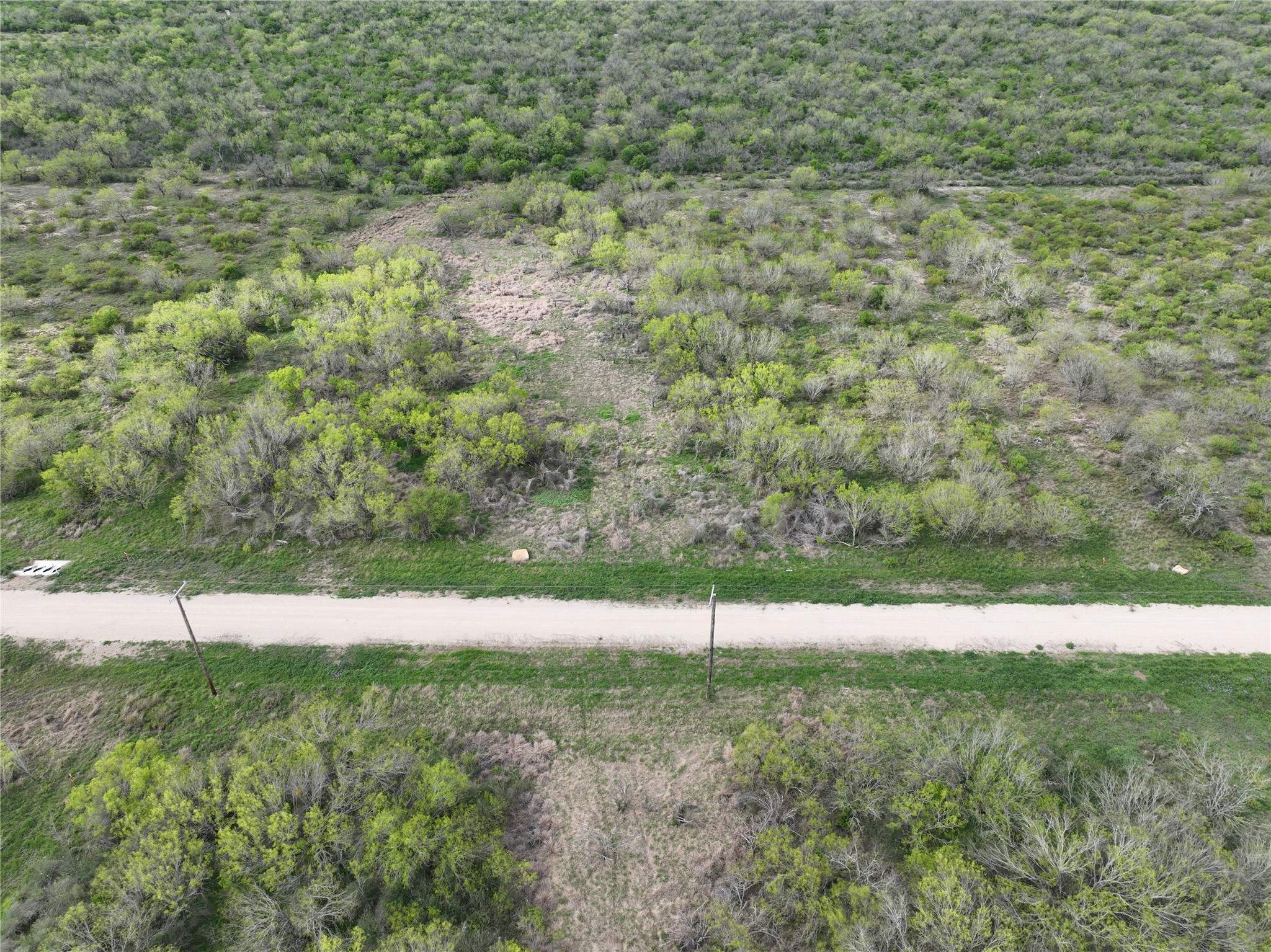 Lot 12 PR Frio Estates Drive, Moore, TX, 78057 | 63790125 | Realty Texas LLC