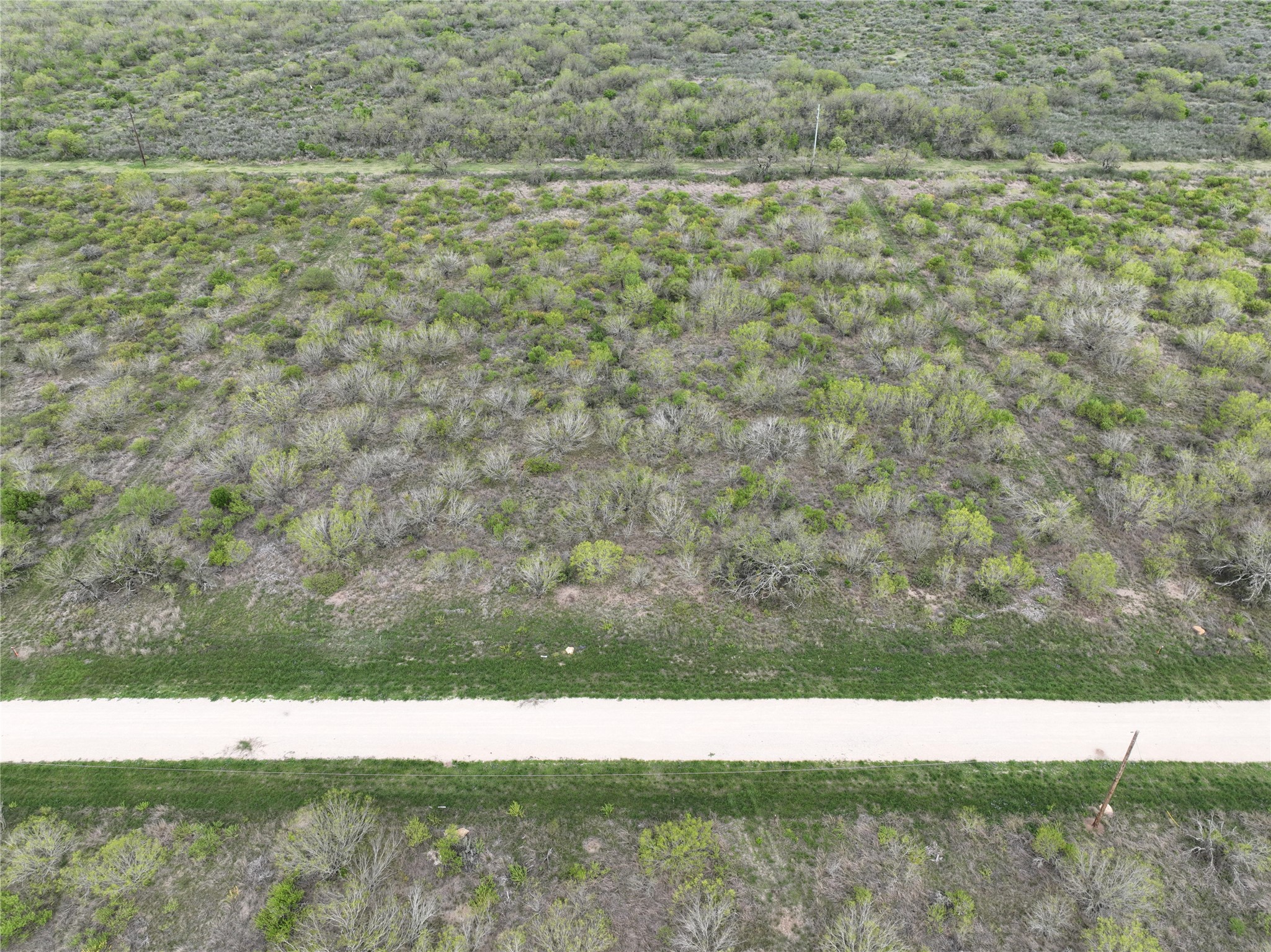 Lot 12 PR Frio Estates Drive, Moore, TX, 78057 | 63790125 | Realty Texas LLC