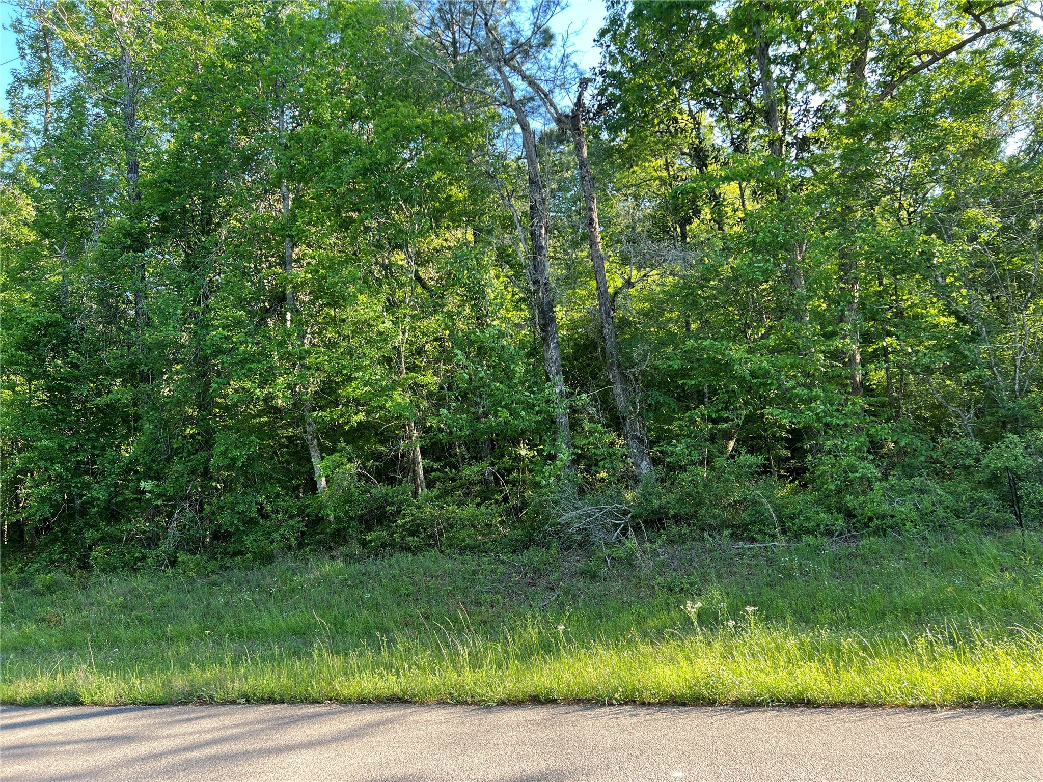 TBD Beverly Drive , Shepherd, TX, 77371 | 76056854 | Realty Texas LLC