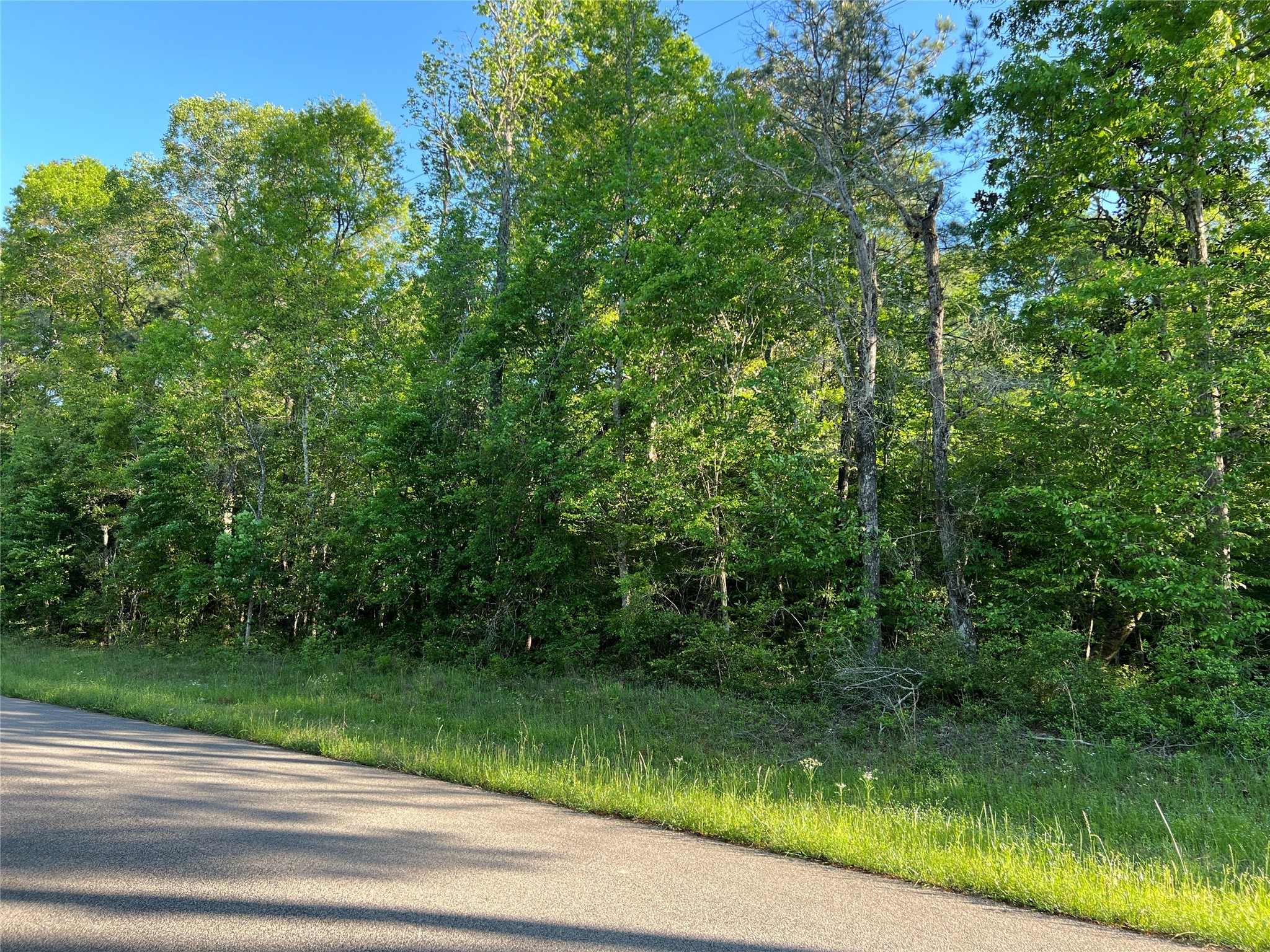 TBD Beverly Drive , Shepherd, TX, 77371 | 76056854 | Realty Texas LLC