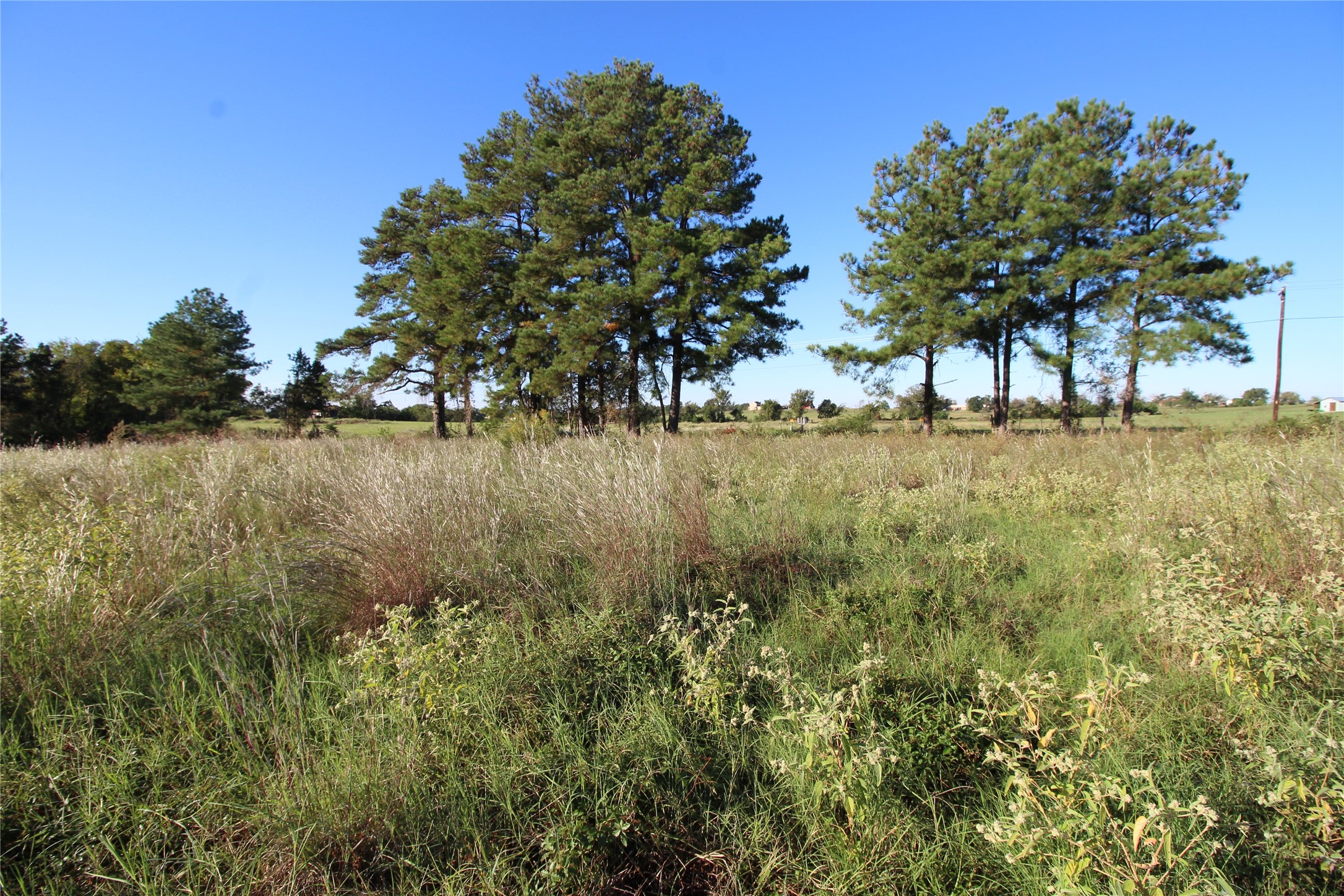 TBD Lot 10 and 11 Fm 645 , Tennessee Colony, TX, 75861 | 66045212 | Realty Texas LLC