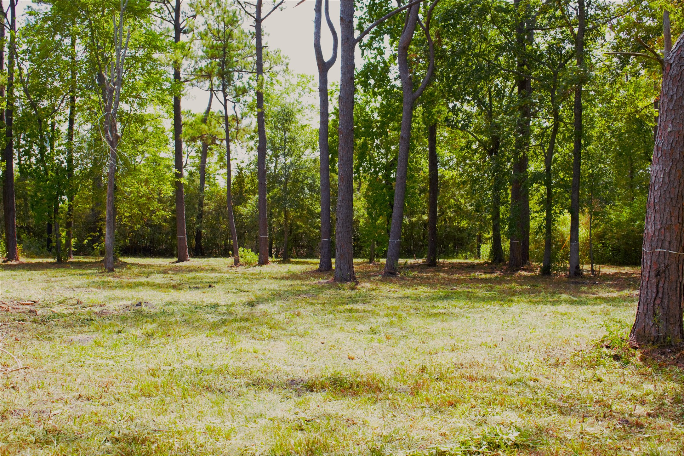 2214 Stag Circle , Huffman, TX, 77336 | 10159728 | Realty Texas LLC