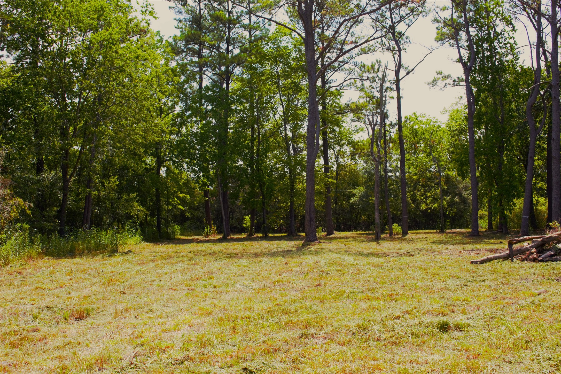 2214 Stag Circle , Huffman, TX, 77336 | 10159728 | Realty Texas LLC