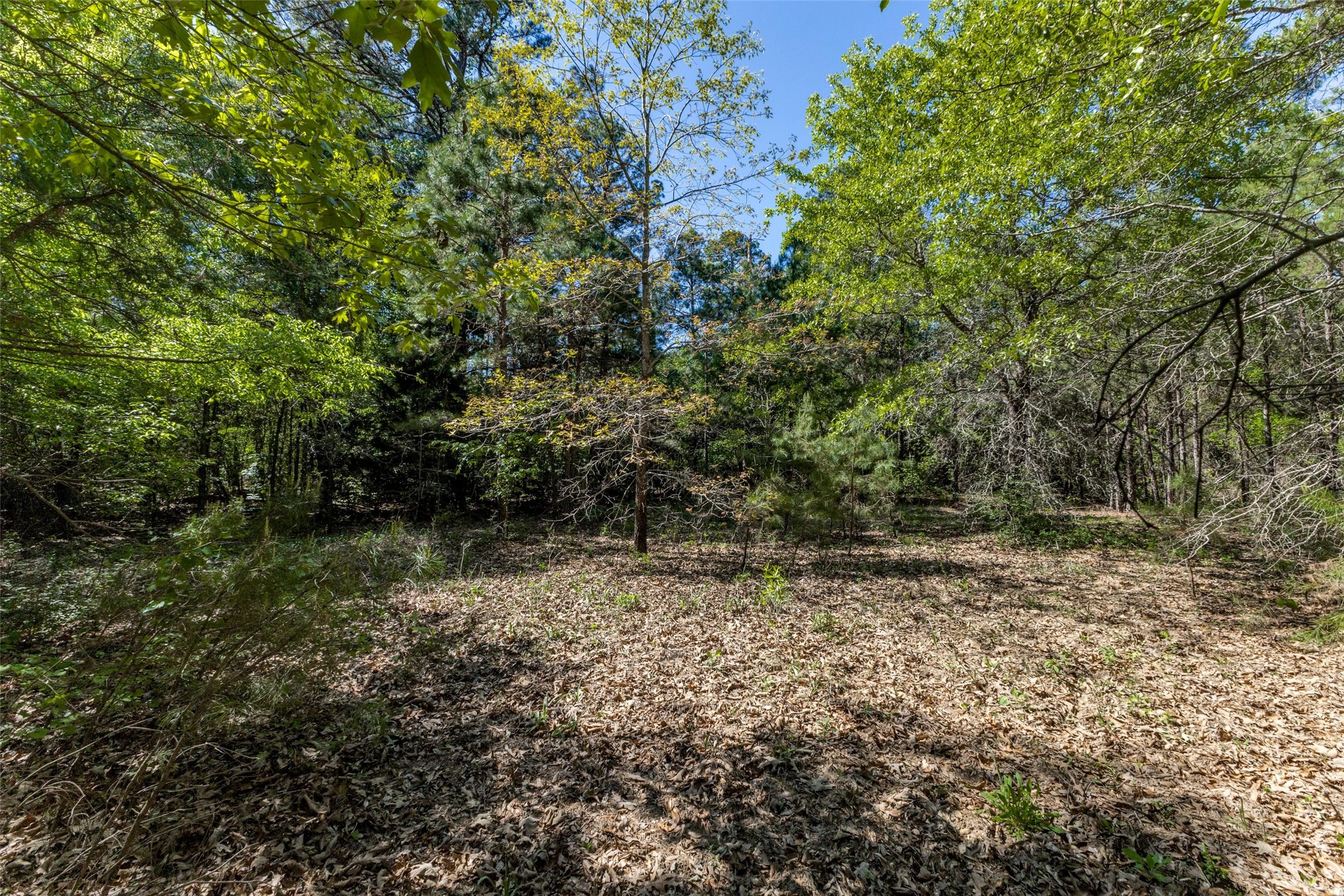 0 S FM 14, Hawkins, TX, 75773 | 20584344 | Realty Texas LLC