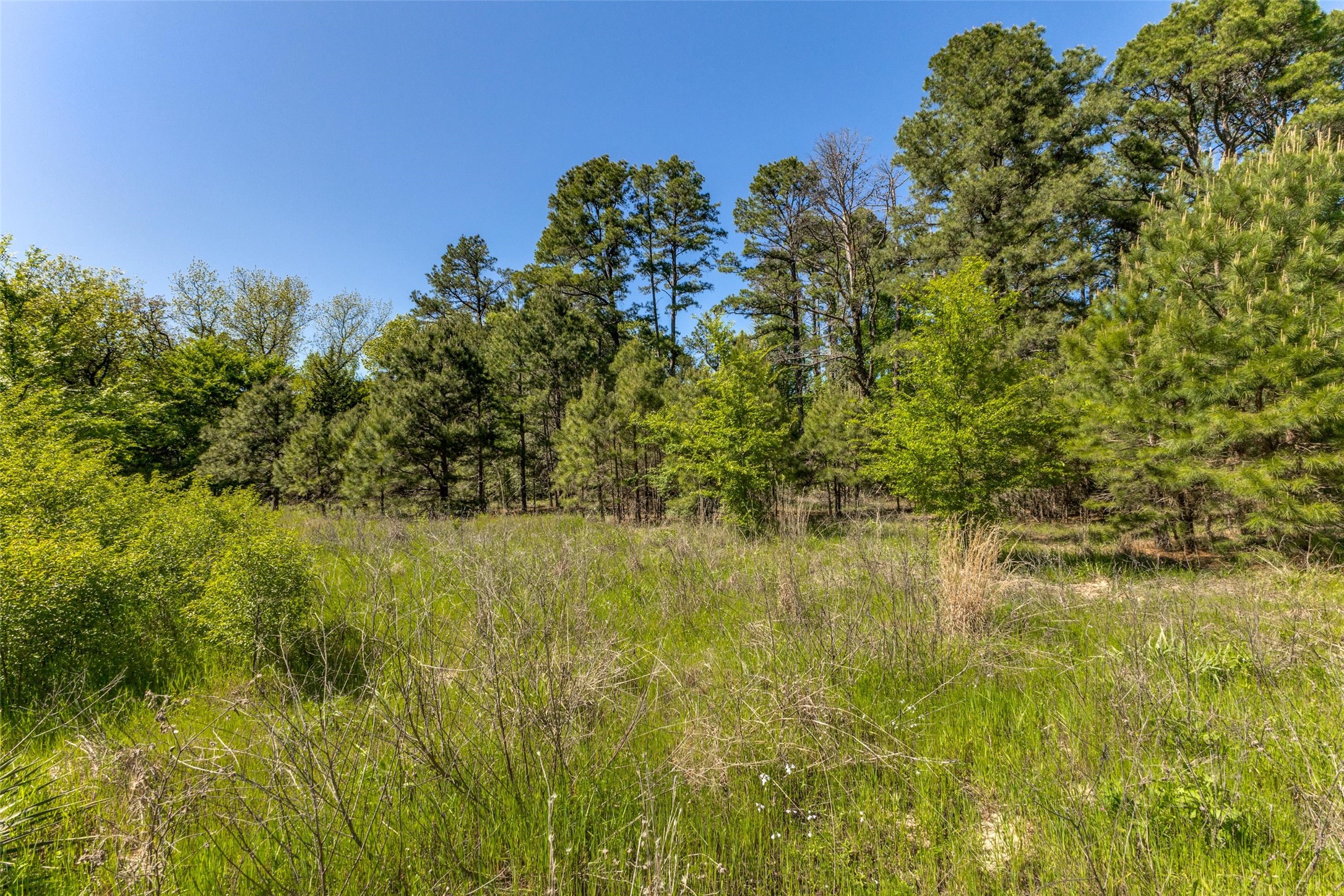 0 S FM 14, Hawkins, TX, 75773 | 20584344 | Realty Texas LLC