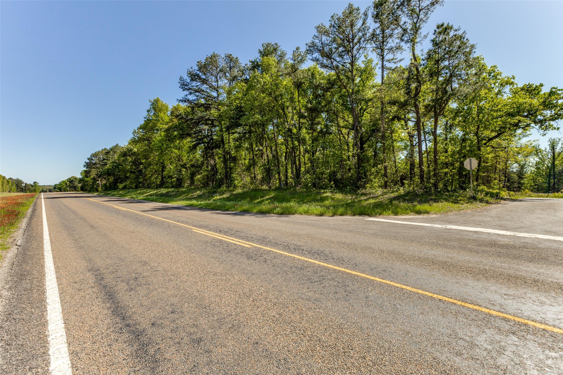 0 S FM 14, Hawkins, TX, 75773 | 20584344 | Realty Texas LLC