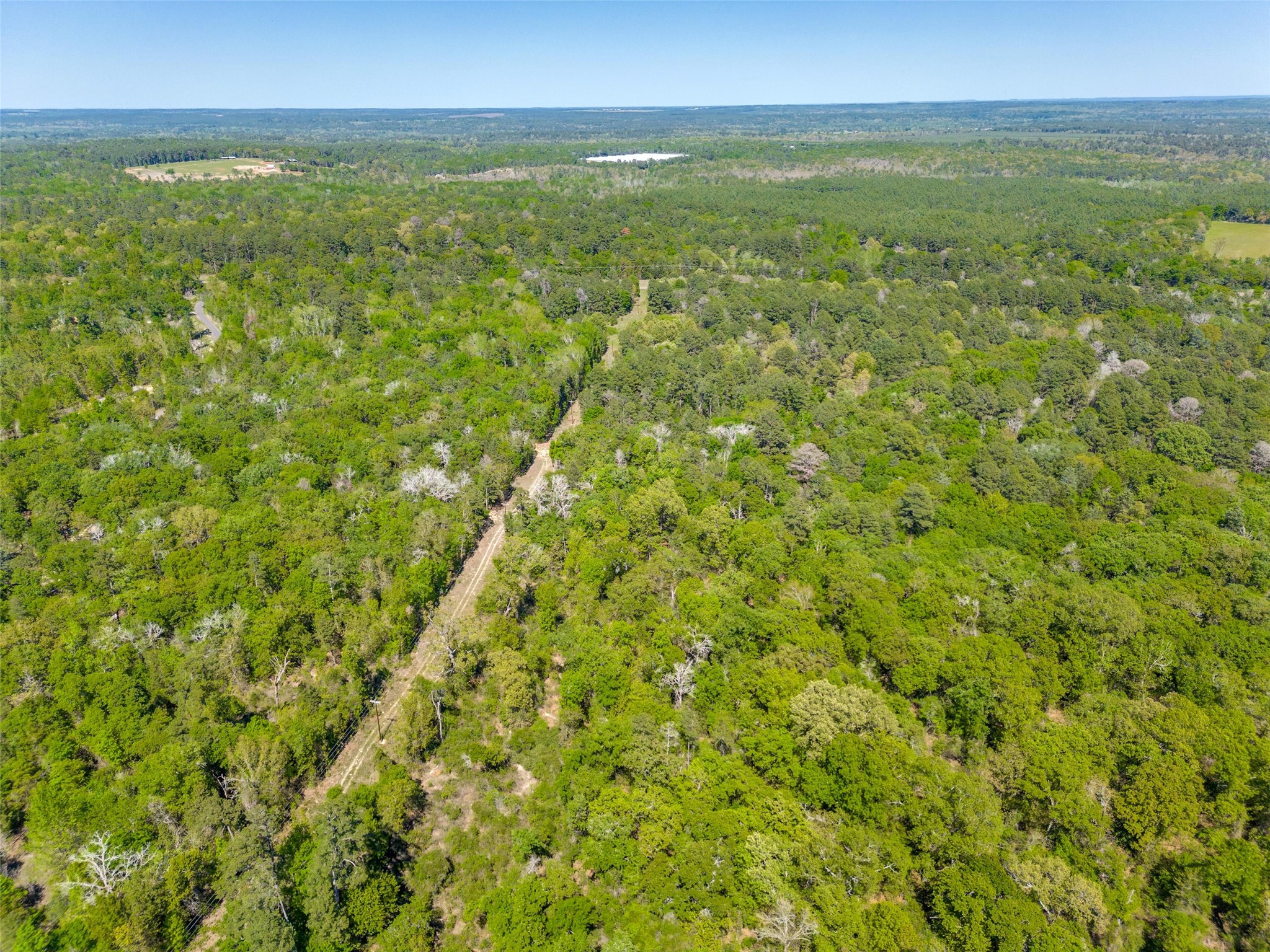 0 S FM 14, Hawkins, TX, 75773 | 20584344 | Realty Texas LLC