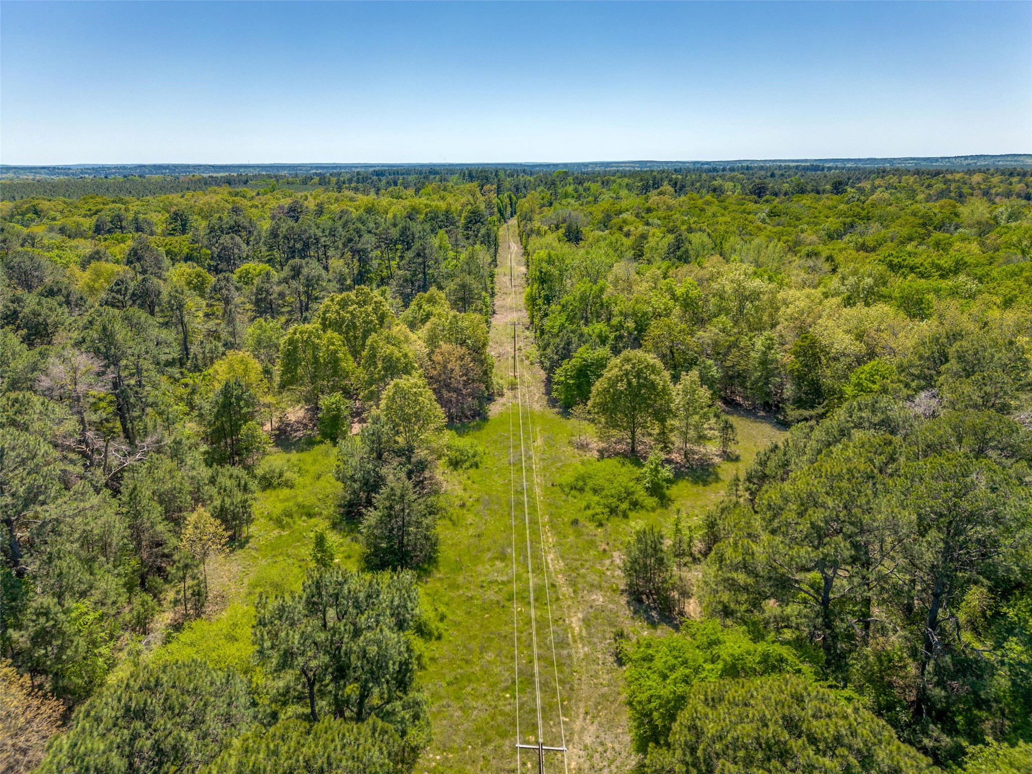 0 S FM 14, Hawkins, TX, 75773 | 20584344 | Realty Texas LLC