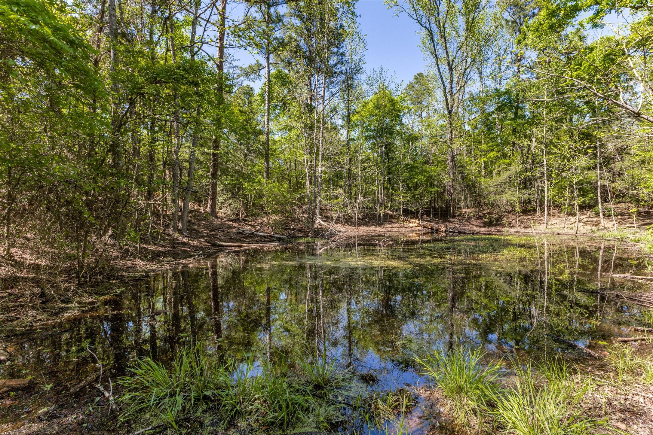 0 S FM 14, Hawkins, TX, 75773 | 20584344 | Realty Texas LLC
